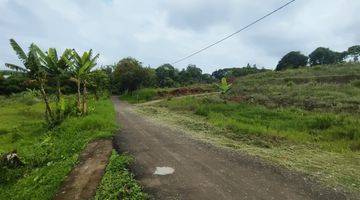 Gambar 2 Tanah murah di puncak dekat wisata puncak siap bangun