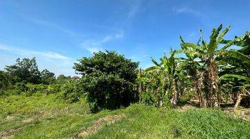 Gambar 4 Cheap Price Land Leasehold At North Canggu Tuka Village 32 Are 