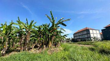 Gambar 5 Cheap Price Land Leasehold At North Canggu Tuka Village 32 Are 