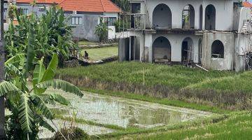 Gambar 2  Tanah Dijual 18 Are  di Jalan Tibubeneng, Canggu SHM - Sertifikat Hak Milik