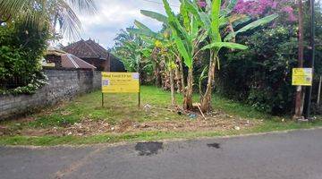 Gambar 5 Land 3,9 Are For Sale In Kaliasem Buleleng 