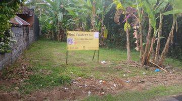 Gambar 3 Land 3,9 Are For Sale In Kaliasem Buleleng 