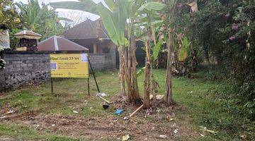 Gambar 4 Land 3,9 Are For Sale In Kaliasem Buleleng 