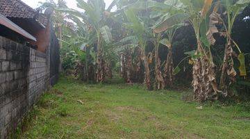 Gambar 1 Land 3,9 Are For Sale In Kaliasem Buleleng 