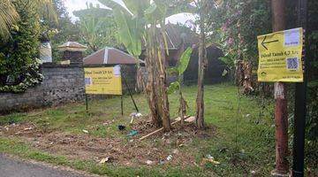 Gambar 3 Land 3,9 Are For Sale In Kaliasem Buleleng 