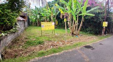 Gambar 2 Land 3,9 Are For Sale In Kaliasem Buleleng 