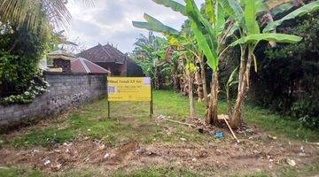 Gambar 2 Land 3,9 Are For Sale In Kaliasem Buleleng 