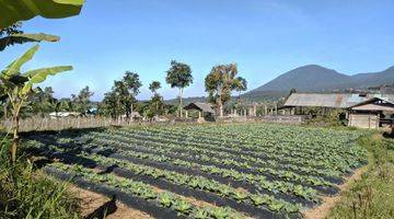 Gambar 1 Tanah perkebunan produktif di baturiti tabanan