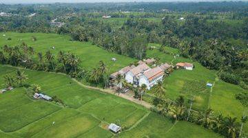 Gambar 2 Resort pull view sawah dekat obyek wisata  cekking rice teras 