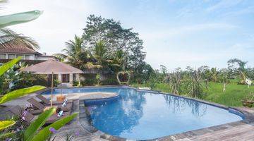 Gambar 5 Resort pull view sawah dekat obyek wisata  cekking rice teras 