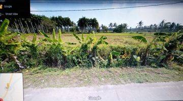 Gambar 5 Land For Sale Commercial Area 41,666 m2 Beach Walk Distance Main Road Jalan Raya Panimbang Tanjung Lesung Banten Jawa Barat