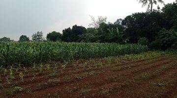 Gambar 5 Tanah Kebun Strategis di Pusat Kota Cibinong Kab.Bogor