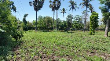 Gambar 1 LAND For sale View ocean at tourism bussines area