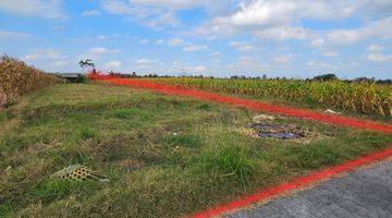 Gambar 2 Dijual tanah sawah dekat pantai pasut tabanan