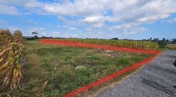 Gambar 4 Dijual tanah sawah dekat pantai pasut tabanan