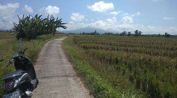 Gambar 5 Dijual tanah sawah dekat pantai pasut tabanan