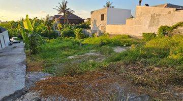 Gambar 1 Land for rent near lima beach pererenan