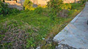 Gambar 4 Land for rent near lima beach pererenan