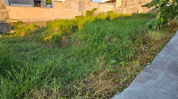 Gambar 5 Land for rent near lima beach pererenan