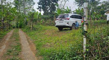 Gambar 2 Tanah Kebun Kopi Dan Durian  