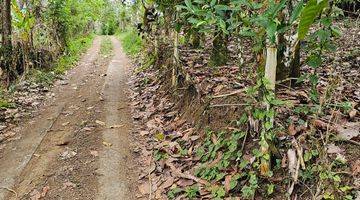 Gambar 5 Tanah Kebun Kopi Dan Durian  