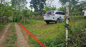 Gambar 1 Tanah Kebun Kopi Dan Durian  