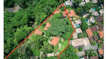 Gambar 3 Tanah di Sayan, Gianyar SHM 5.950 m²