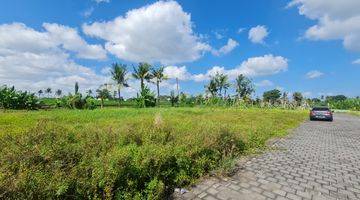 Gambar 5 Tanah Siap Bangun Harga Nego di Dekat Pantai Kedungu Tabanan.