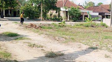 Gambar 1 Tanah Pekarangan Suasana Pedesaan Khas Ponorogo