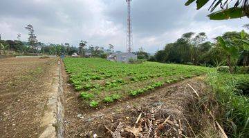 Gambar 1 Cepat Tanah Murah Pemandangan Bagus Lokasi Strategis di Puncak