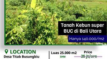 Gambar 2 Tanah Kebun Murah 30.000m2 Dijual Bawah Pasar di Singaraja