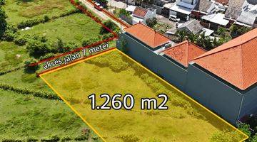 Gambar 2 Tanah Termurah Luas 12.6are Area Pura Masuka Ungasan Badung Bali