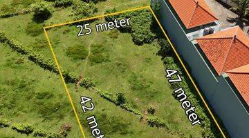 Gambar 3 Tanah Termurah Luas 12.6are Area Pura Masuka Ungasan Badung Bali