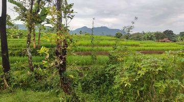 Gambar 3 Tanah Kebun Sangat Strategis View Lepas Ke Gunung 