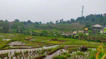 Gambar 2 Tanah Sawah Produktif Sangat Strategis View Lepas Ke Gunung 