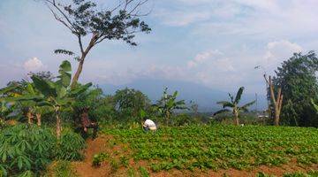 Gambar 1 Tanah rata untuk investasi/berkebun villa lokasi sangat strategis