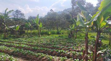 Gambar 2 Tanah rata untuk investasi/berkebun villa lokasi sangat strategis