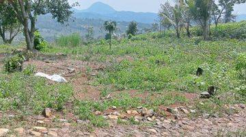 Gambar 3 Tanah Rata Untuk Investasi Kebun View Lepas Ke Gunung 