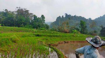 Gambar 5 Tanah Sawah Produktif Sangat Strategis View Lepas Ke Gunung 