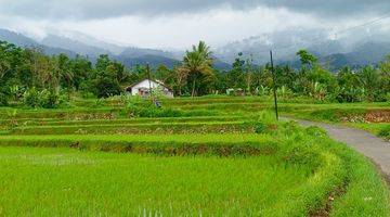 Gambar 2 Tanah Sawah Subur Produktif Sangat Strategis View Lepas 