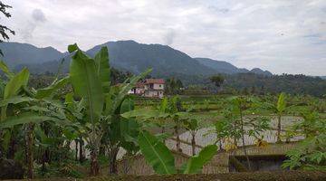 Gambar 4 Tanah Sawah Produktif Sangat Strategis View Lepas Untuk Villa 