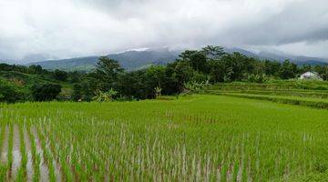 Gambar 4 Tanah Sawah Subur Produktif Sangat Strategis View Lepas 