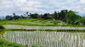 Gambar 5 Tanah Sawah Subur Produktif Sangat Strategis View Lepas 