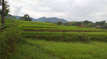 Gambar 2 Tanah Kebun Sangat Strategis View Lepas Ke Gunung 