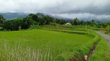 Gambar 3 Tanah Sawah Subur Produktif Sangat Strategis View Lepas 