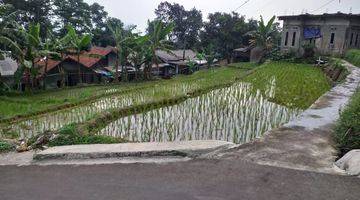 Gambar 2 Tanah Sawah Untuk Rumah+Villa Sangat Strategis View Lepas 