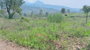 Gambar 1 Tanah Rata Untuk Investasi Kebun View Lepas Ke Gunung 