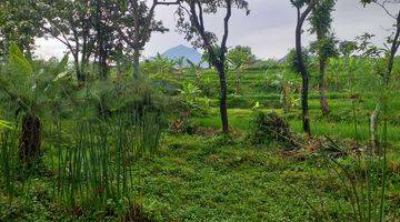 Gambar 1 Tanah Kebun Sangat Strategis View Lepas Ke Gunung 