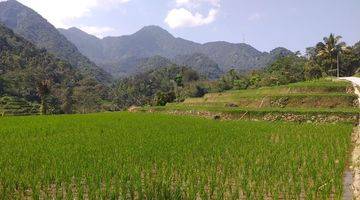 Gambar 3 Tanah Sawah Produktif Sangat Strategis Full View 