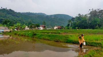 Gambar 1 Tanah Sawah Produktif Sangat Strategis View Lepas Ke Gunung 